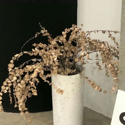 兽设配色搭配思路FurryQQ群